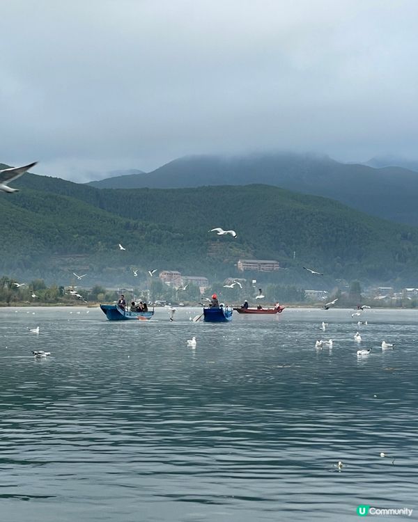 瀘沽湖晨霧仙境之旅 ☁️ 水性楊花超夢幻！🌸