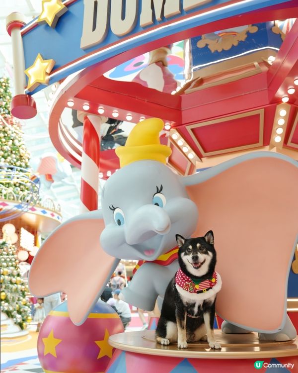 聖誕打卡Go! 小飛象影相位📸✨