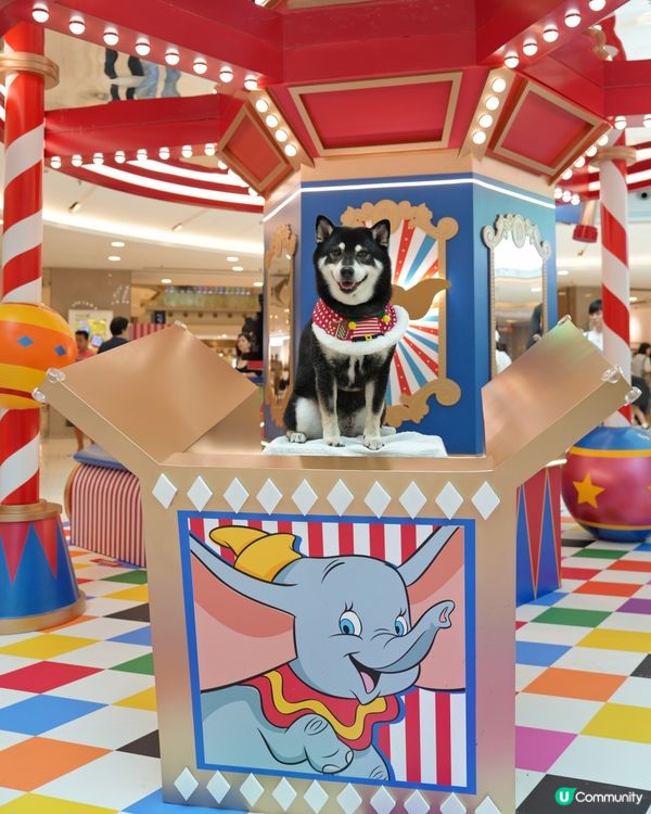 聖誕打卡Go! 小飛象影相位📸✨