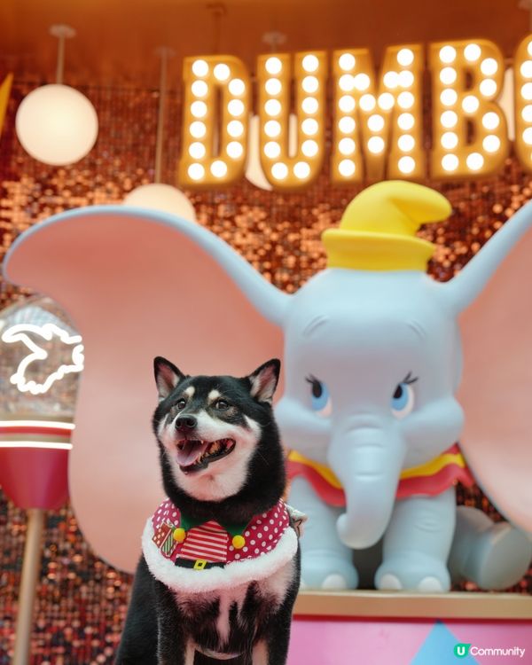 聖誕打卡Go! 小飛象影相位📸✨