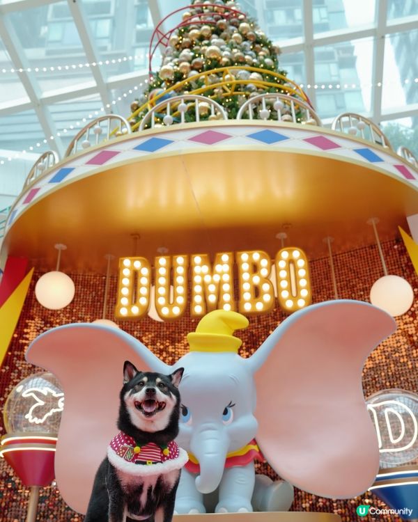 聖誕打卡Go! 小飛象影相位📸✨