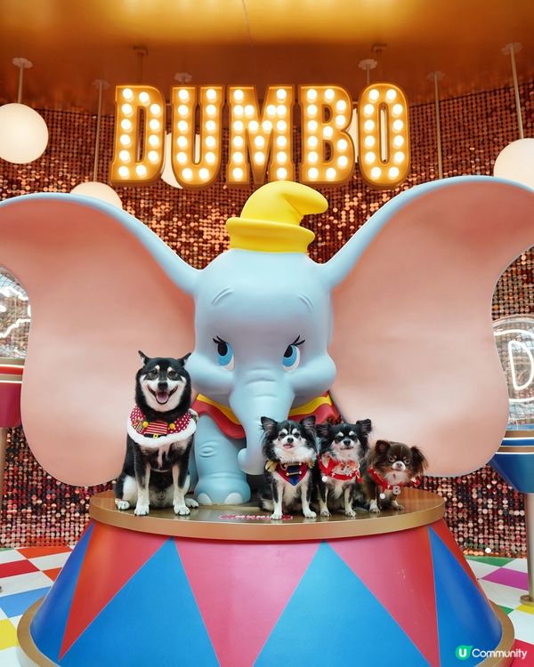 聖誕打卡Go! 小飛象影相位📸✨