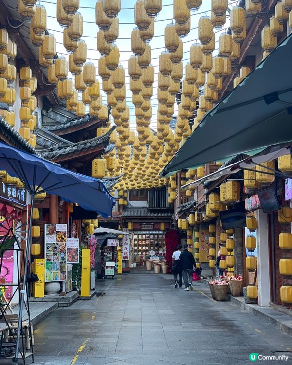 大理古城遊記！感受白族風情😍 慢活之旅！
