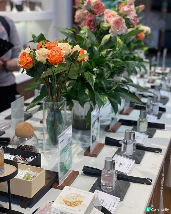 大理古城遊記！感受白族風情😍 慢活之旅！