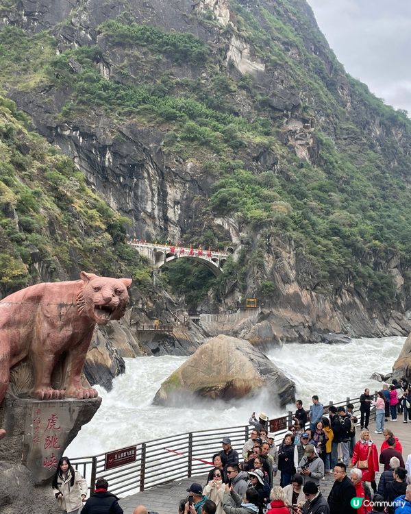 虎跳峽震撼體驗！🏞️ 金沙江咆哮！🌊