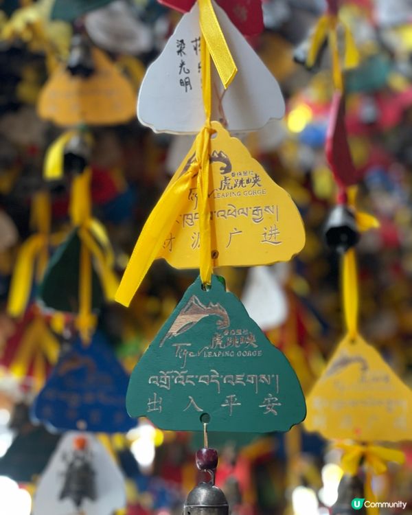 虎跳峽震撼體驗！🏞️ 金沙江咆哮！🌊