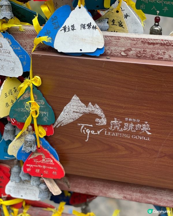 虎跳峽震撼體驗！🏞️ 金沙江咆哮！🌊