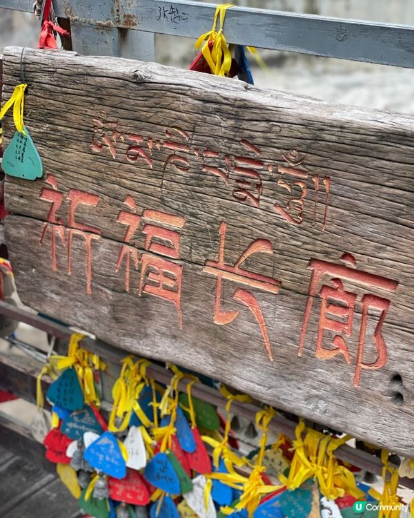 虎跳峽震撼體驗！🏞️ 金沙江咆哮！🌊