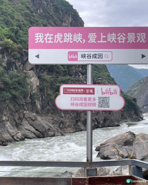 虎跳峽震撼體驗！🏞️ 金沙江咆哮！🌊