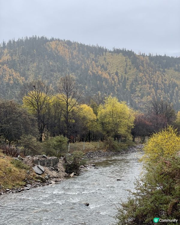 普達措靜謐漫遊，三段路線各有美！🏞️🚶‍♀️