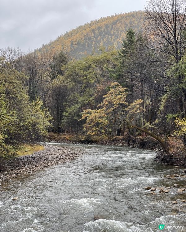 普達措靜謐漫遊，三段路線各有美！🏞️🚶‍♀️