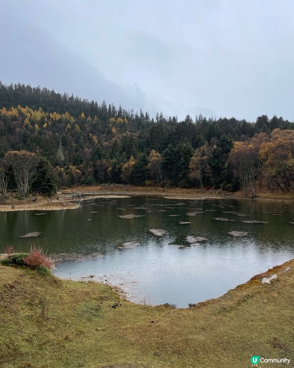 普達措靜謐漫遊，三段路線各有美！🏞️🚶‍♀️