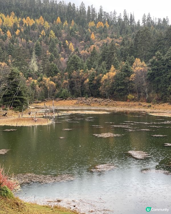 普達措靜謐漫遊，三段路線各有美！🏞️🚶‍♀️