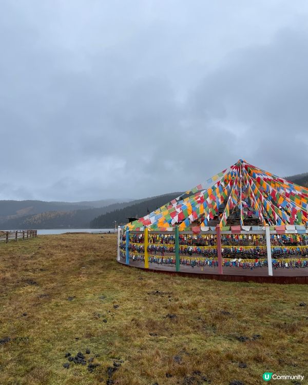 普達措靜謐漫遊，三段路線各有美！🏞️🚶‍♀️