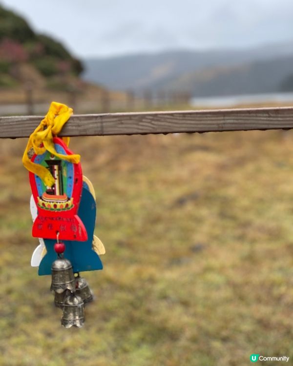 普達措靜謐漫遊，三段路線各有美！🏞️🚶‍♀️