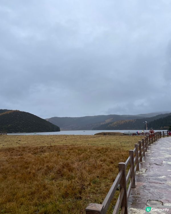 普達措靜謐漫遊，三段路線各有美！🏞️🚶‍♀️