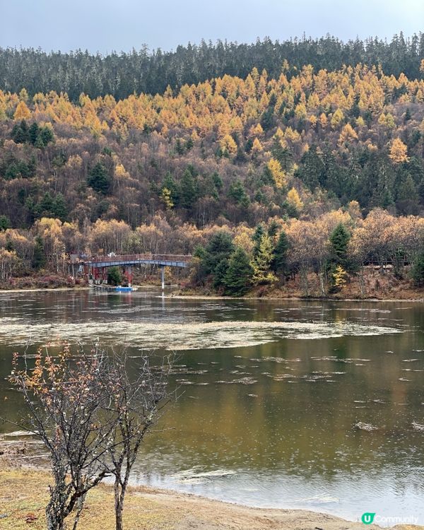 普達措靜謐漫遊，三段路線各有美！🏞️🚶‍♀️