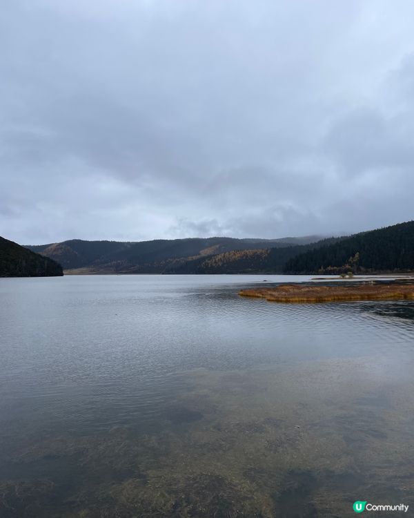 普達措靜謐漫遊，三段路線各有美！🏞️🚶‍♀️