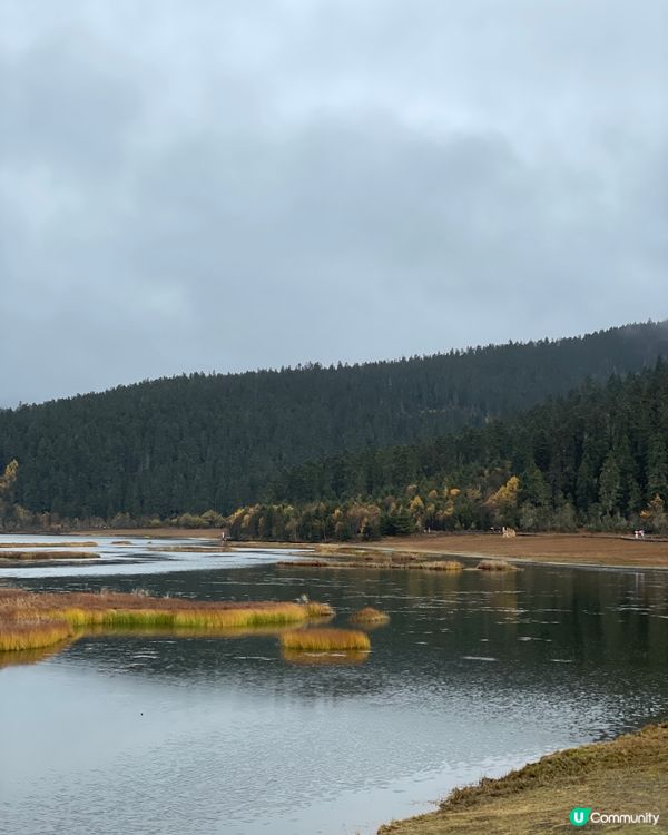 普達措靜謐漫遊，三段路線各有美！🏞️🚶‍♀️