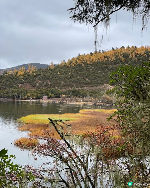 普達措靜謐漫遊，三段路線各有美！🏞️🚶‍♀️