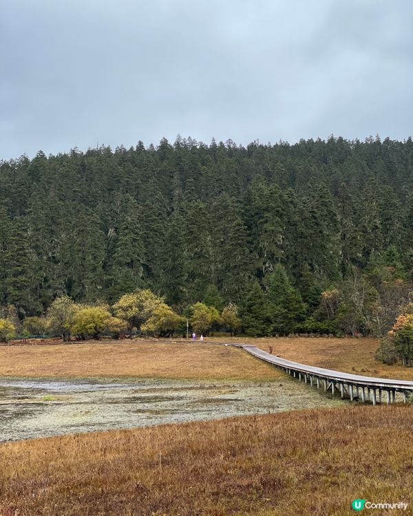 普達措靜謐漫遊，三段路線各有美！🏞️🚶‍♀️