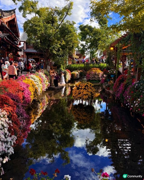 雲南麗江古城遊記：邂逅一米陽光，漫步千年石板街