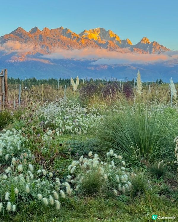 雲南麗江古城遊記：邂逅一米陽光，漫步千年石板街