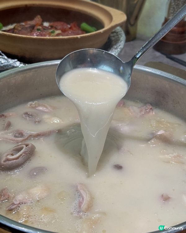 秋冬暖笠笠！花膠豬肚雞🤤 深圳必食！