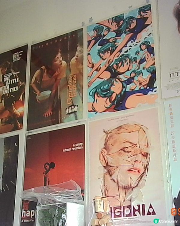 開箱實測Kodak迷你相機盲盒！📸 附影相效果