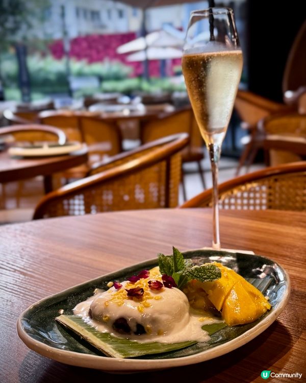 泰國風情🌴！鰂魚涌度假Chill🥳！帶埋毛孩去食飯🐶！