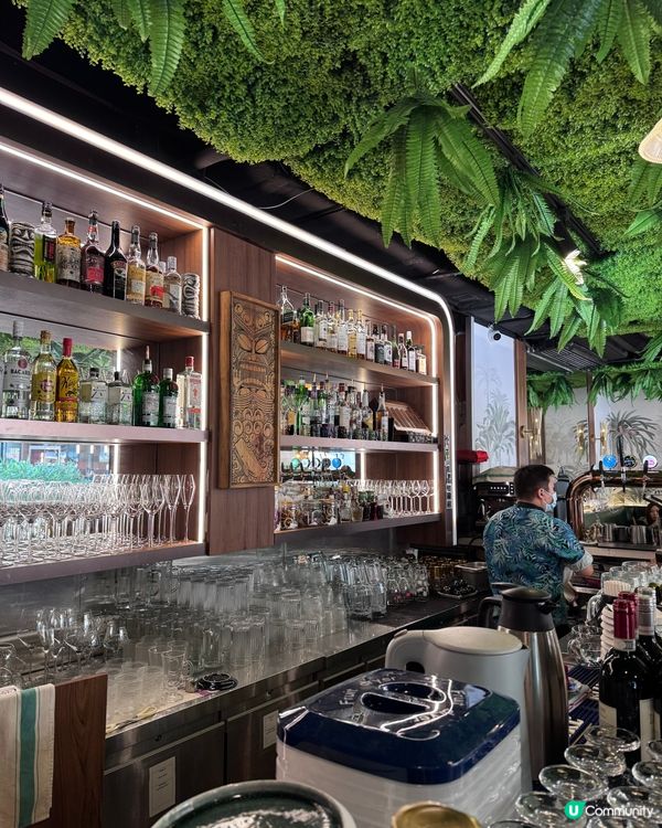 泰國風情🌴！鰂魚涌度假Chill🥳！帶埋毛孩去食飯🐶！