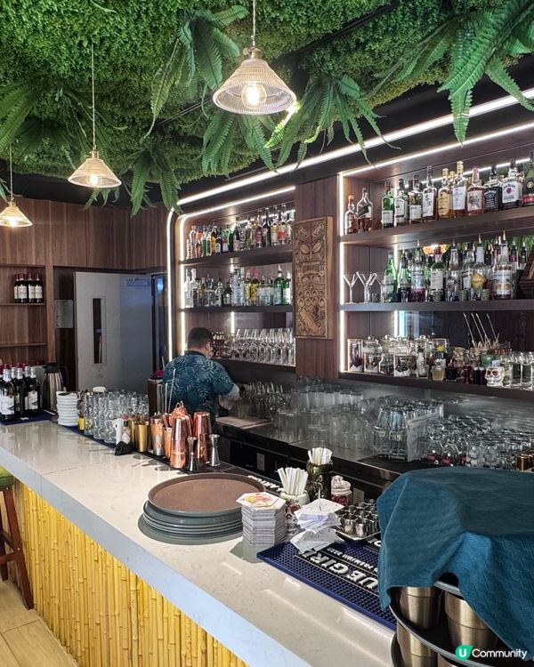 泰國風情🌴！鰂魚涌度假Chill🥳！帶埋毛孩去食飯🐶！