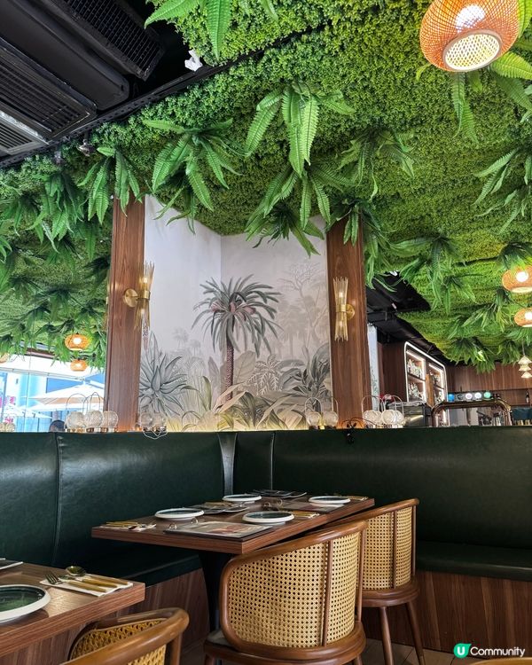 泰國風情🌴！鰂魚涌度假Chill🥳！帶埋毛孩去食飯🐶！