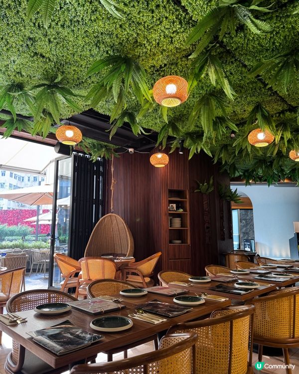 泰國風情🌴！鰂魚涌度假Chill🥳！帶埋毛孩去食飯🐶！