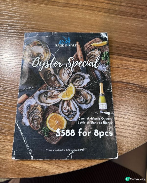 泰國風情🌴！鰂魚涌度假Chill🥳！帶埋毛孩去食飯🐶！