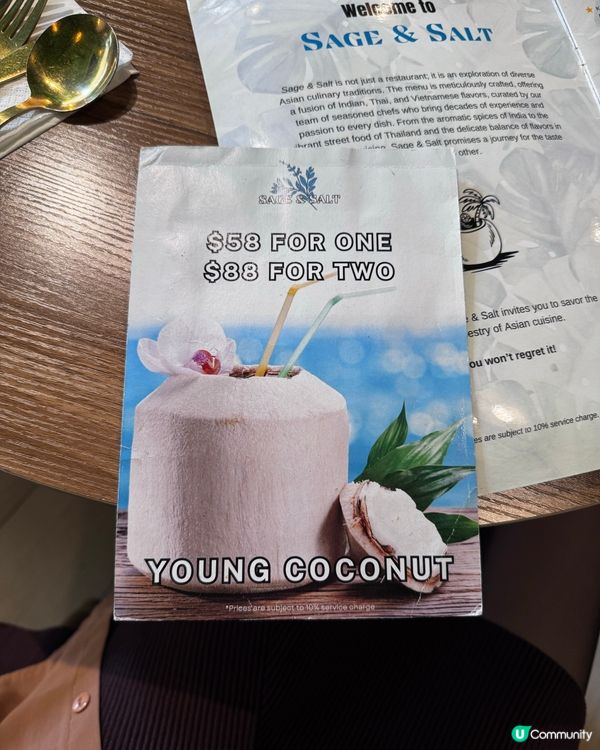 泰國風情🌴！鰂魚涌度假Chill🥳！帶埋毛孩去食飯🐶！