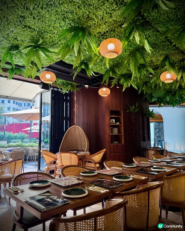 泰國風情🌴！鰂魚涌度假Chill🥳！帶埋毛孩去食飯🐶！