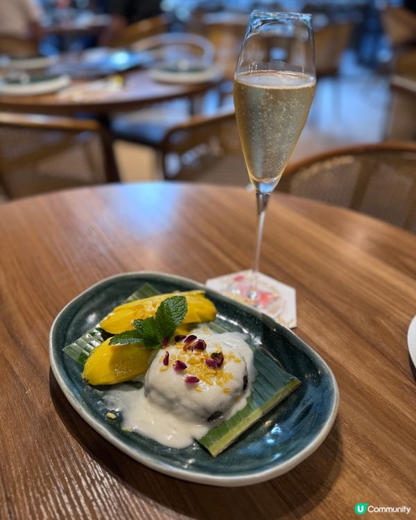 泰國風情🌴！鰂魚涌度假Chill🥳！帶埋毛孩去食飯🐶！