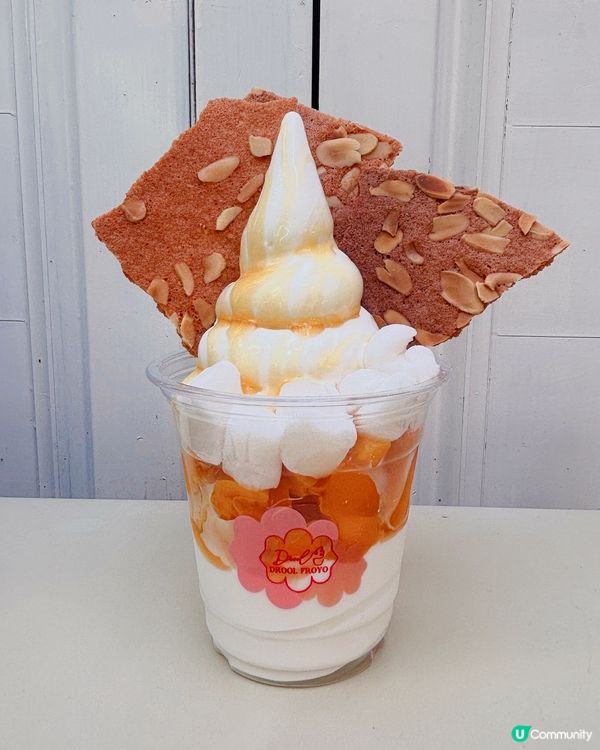 中環美食｜人氣健康乳酪雪糕·Drool Froyo🍦