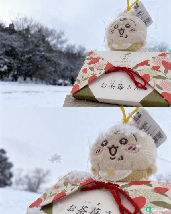 依家流行AI,整張圖當去左北海道啦，科技進步就算去到影得唔靚...