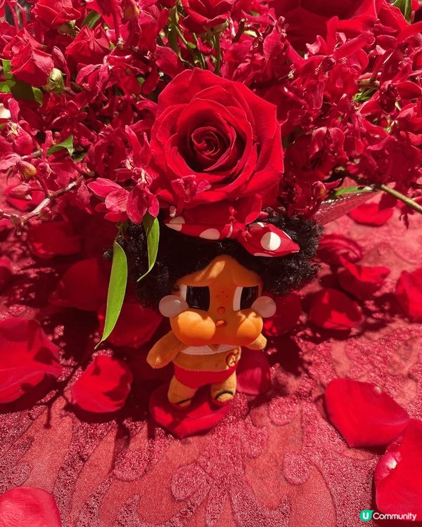 我帶咗Crybaby 同Labubu 鴨仔出街玩，重同埋佢哋...