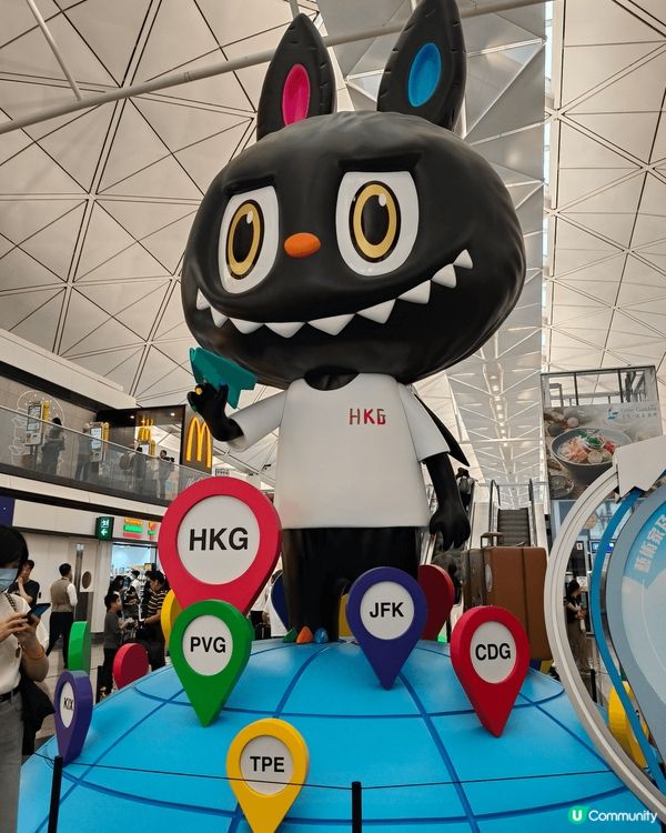 全體注意！🔊✨