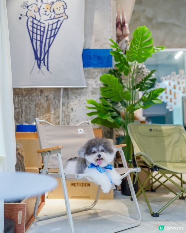 𓍲 ꪀׁׅꫀׁׅܻᨰׁׅ 人寵友善𝐜𝐚𝐟𝐞 • 上環