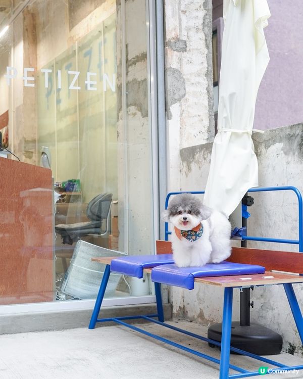 𓍲 ꪀׁׅꫀׁׅܻᨰׁׅ 人寵友善𝐜𝐚𝐟𝐞 • 上環