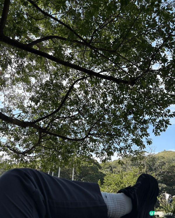 大嶼山禪修 同 荔枝窩行山