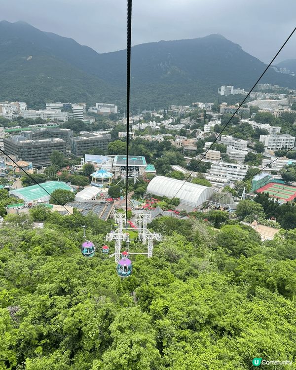 我會去海洋公園試用驅蚊大師「清爽版」，上圖就係海洋公園搭纜車...