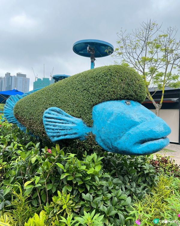 我會去海洋公園試用驅蚊大師「清爽版」，上圖就係海洋公園搭纜車...