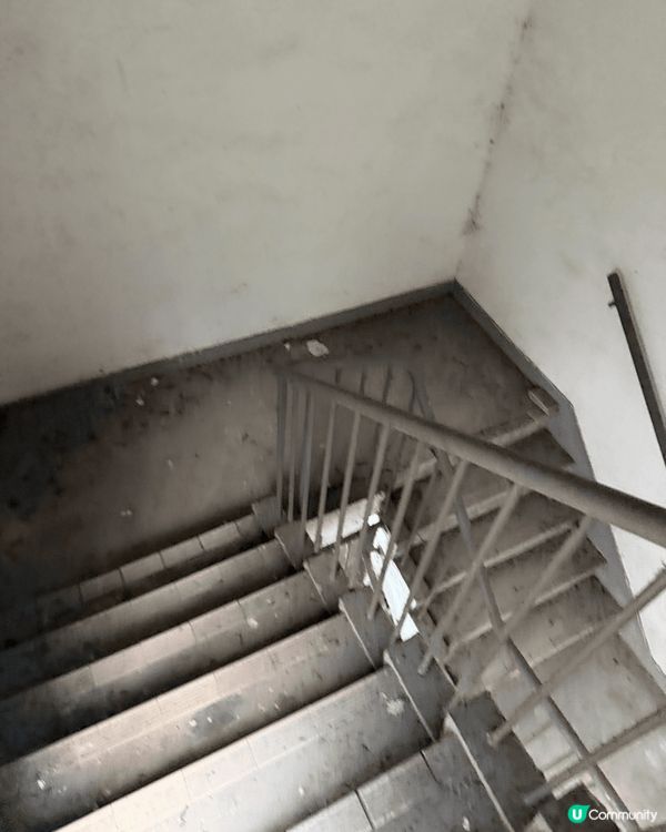 想做運動，所以會行後樓梯，但係好多蚊蟲