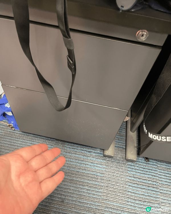 公司同球場，d同事成日帶蚊返公司，個地下又好多蚤咁搞到好㾗，...