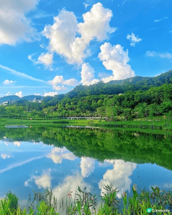 天空之鏡打卡📸！金湖公園超chill~ 🏞️